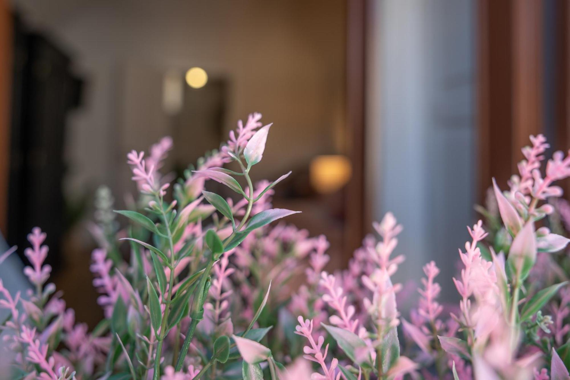 Mirone - Suite Apartments Catania Centro Экстерьер фото